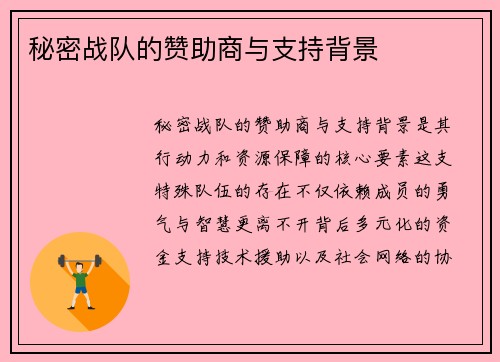 秘密战队的赞助商与支持背景
