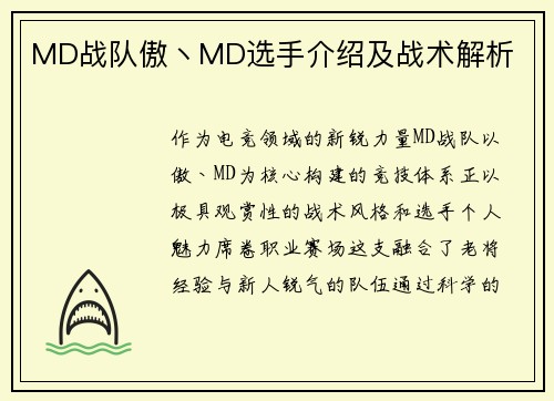 MD战队傲丶MD选手介绍及战术解析
