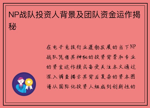NP战队投资人背景及团队资金运作揭秘