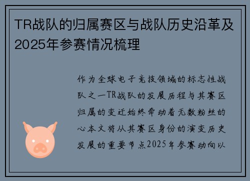 TR战队的归属赛区与战队历史沿革及2025年参赛情况梳理