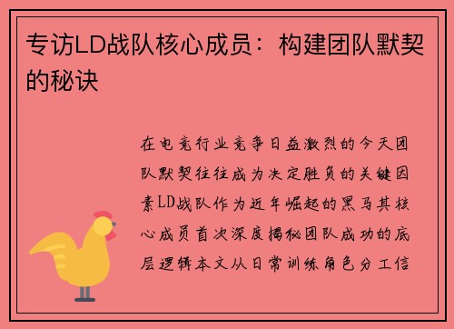 专访LD战队核心成员：构建团队默契的秘诀